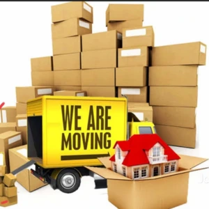 Packing and Moving